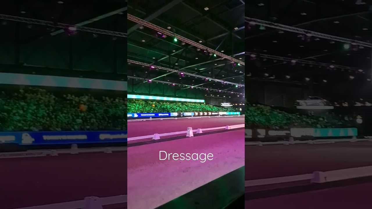 Fun fun at Indoor Brabant🥳 #dressage #dressuur #dressuurpaarden #paarden #pferdesport #pferde #horse