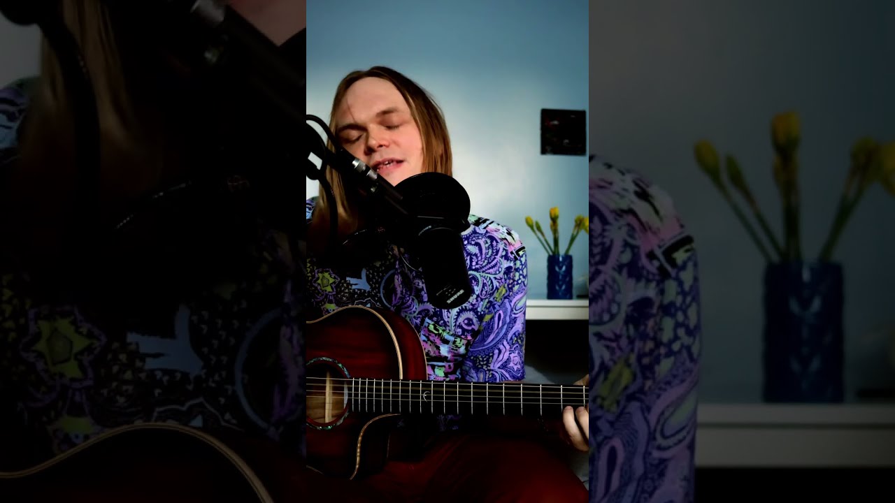 Cat Stevens - Wild World (Acoustic Cover)