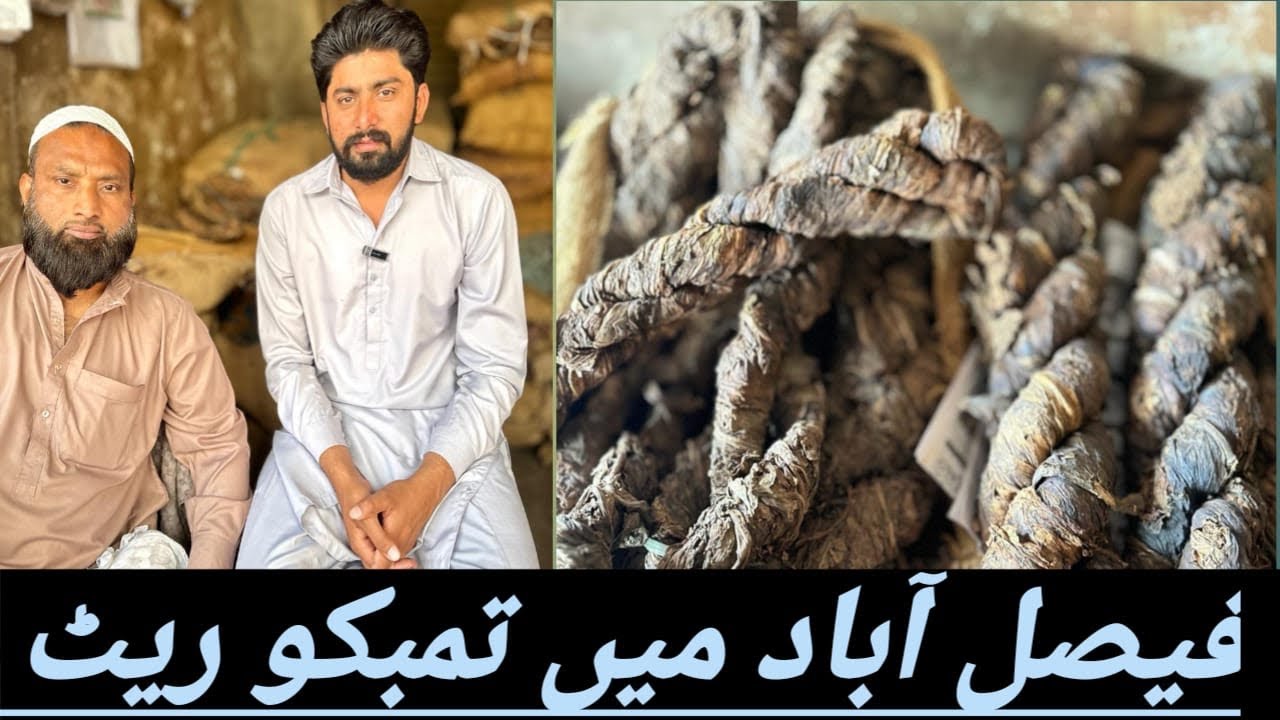 TOBACCO SHOP TOBACO KI UPDATE ANAY WALAY DINO MA TOBACCO KAY HALAT KAYA RAHY GAY RATE TAZ HO GA YA