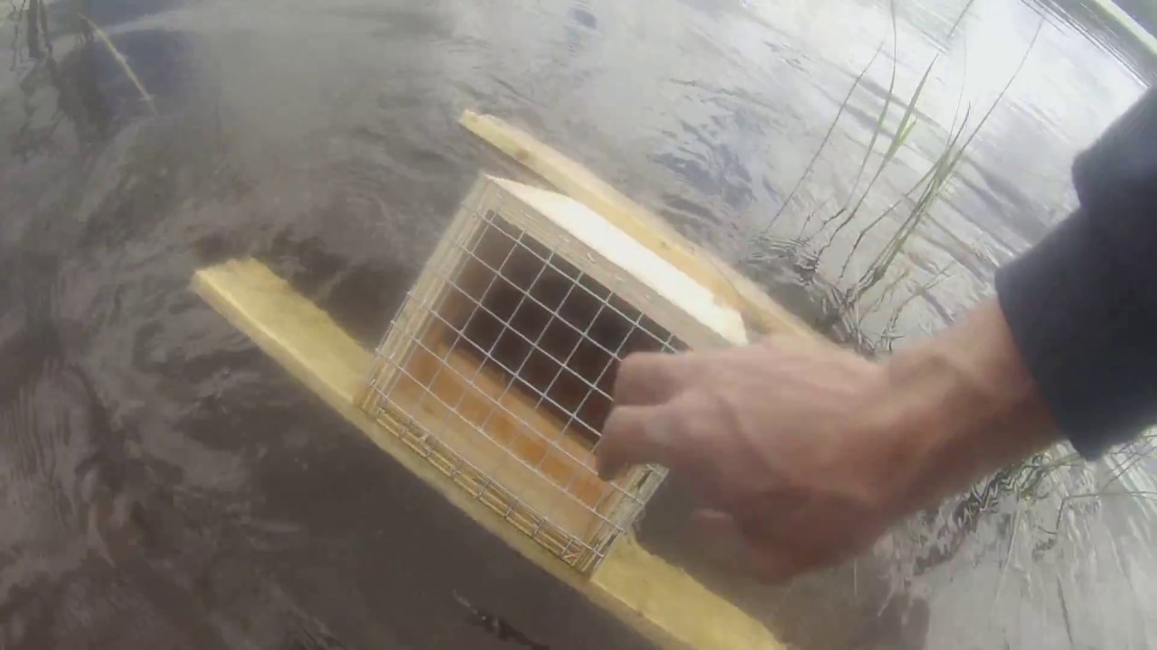 How to Make Floating Mink Boxes