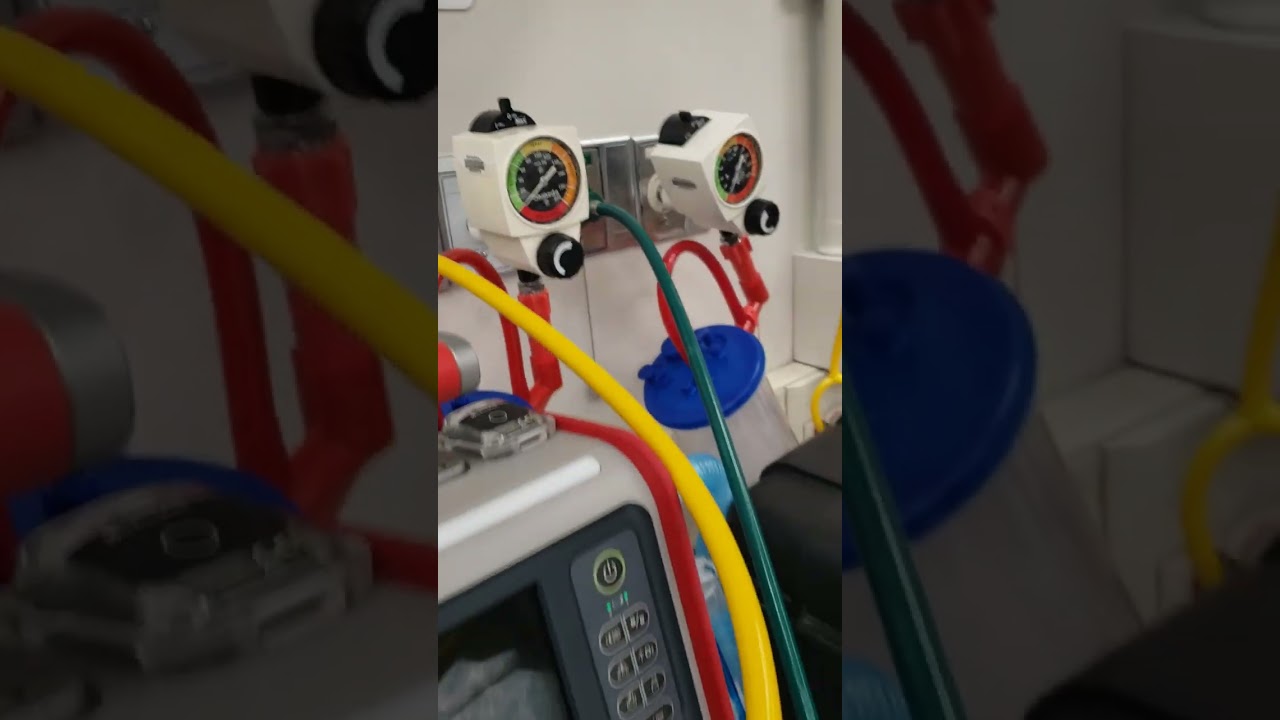 Using the Panda Warmer with both wall gasses and tanks