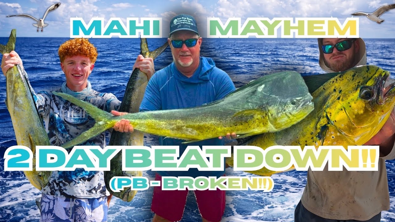 Fall Mahi Fishing in The Florida Keys (CHAOS)