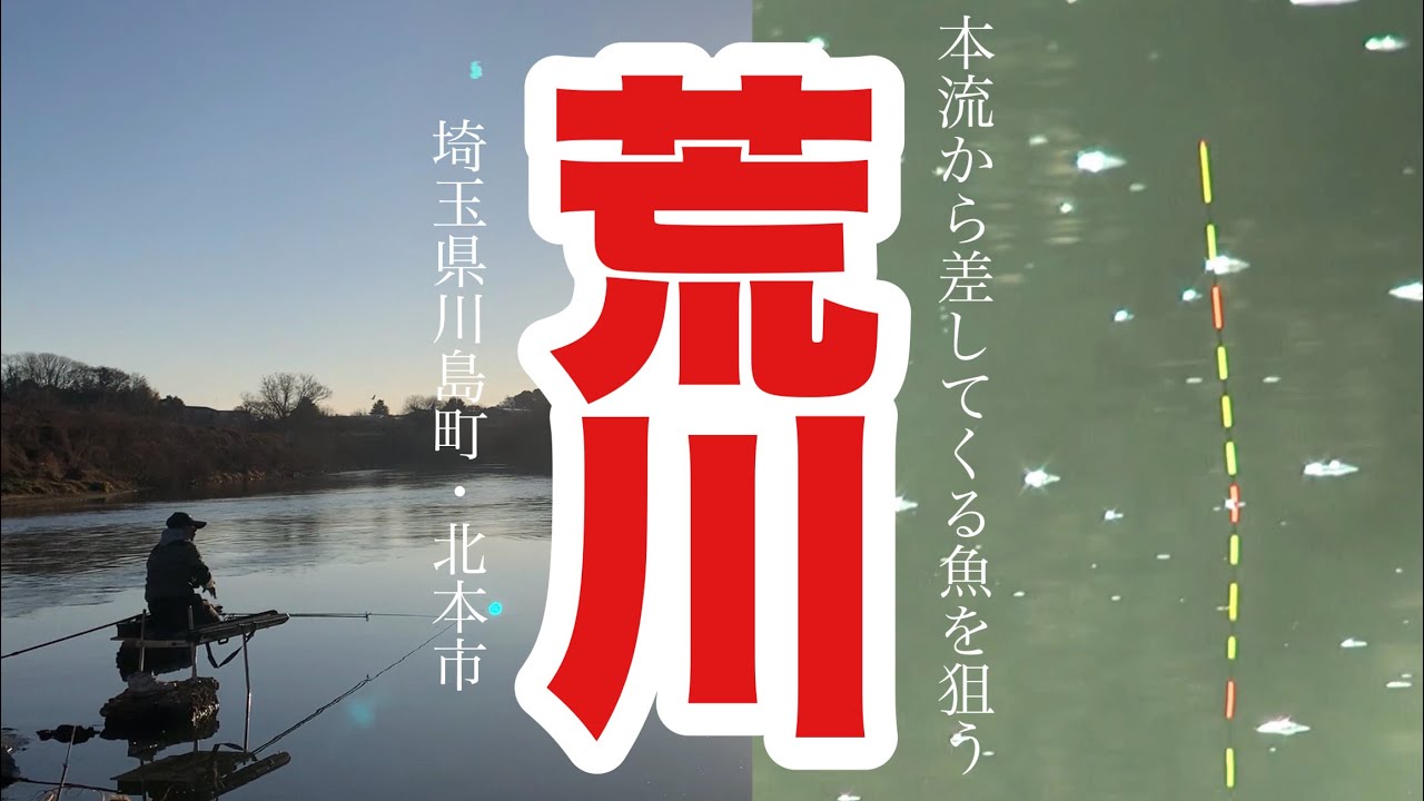 【荒川本流】激流の荒川から入ってくる魚を狙う へらぶな釣り