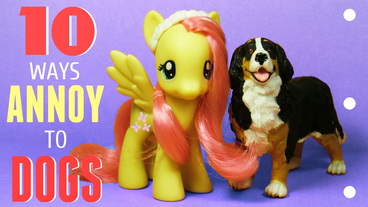 MLP 10 Ways To Annoy Your DOGS