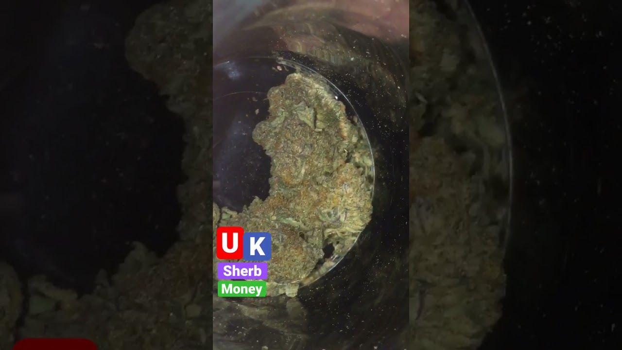 Uk sherb money 💰 #fyp #shorts #rapperweed #weed #gas #cali #bud #weedreview