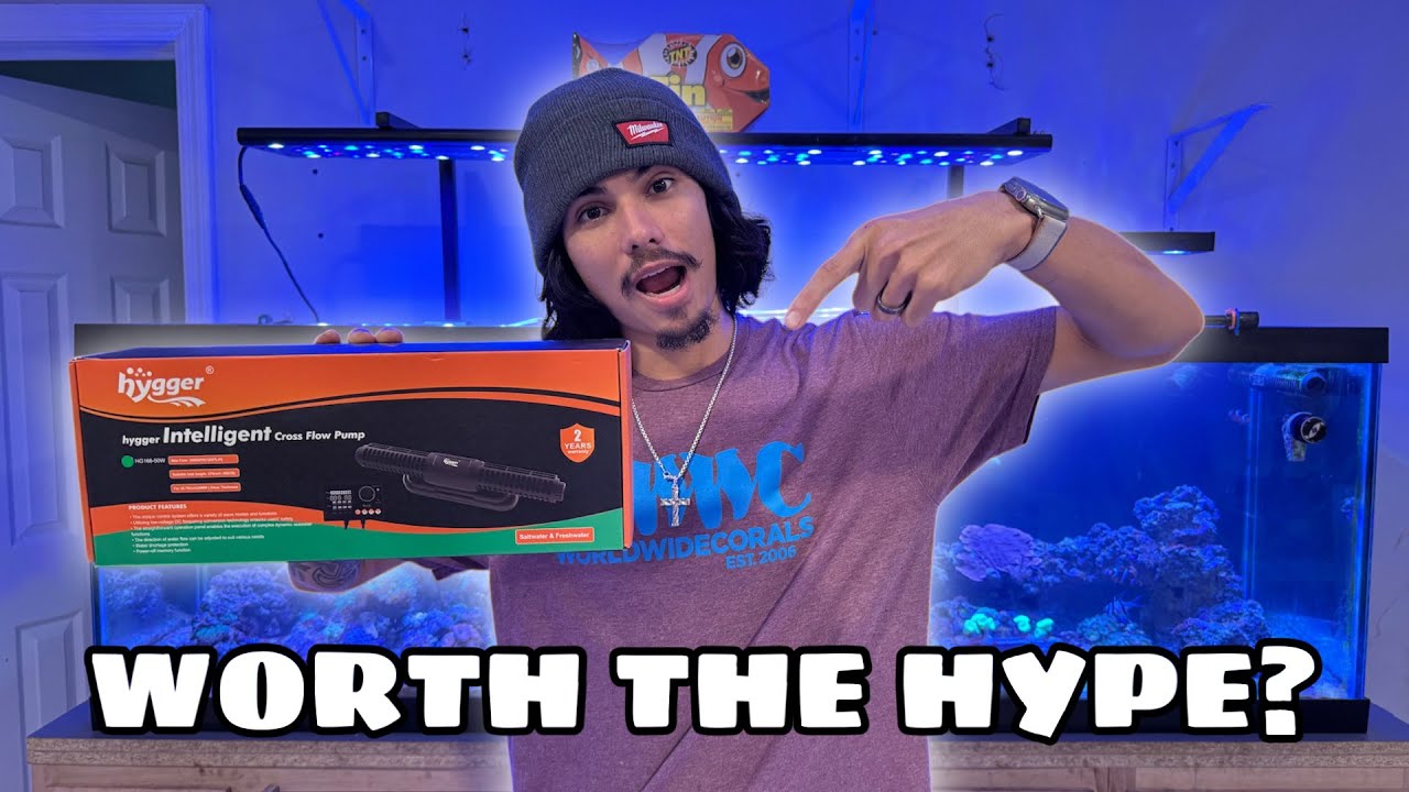 IS HYGGER WORTH THE HYPE ?| HG166 |