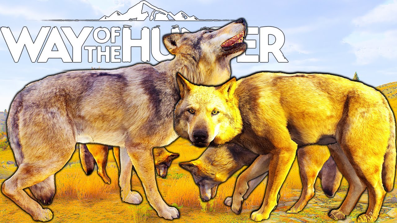 One to Five Star Wolf Hunt on Lintukoto Reserve | Way of the Hunter