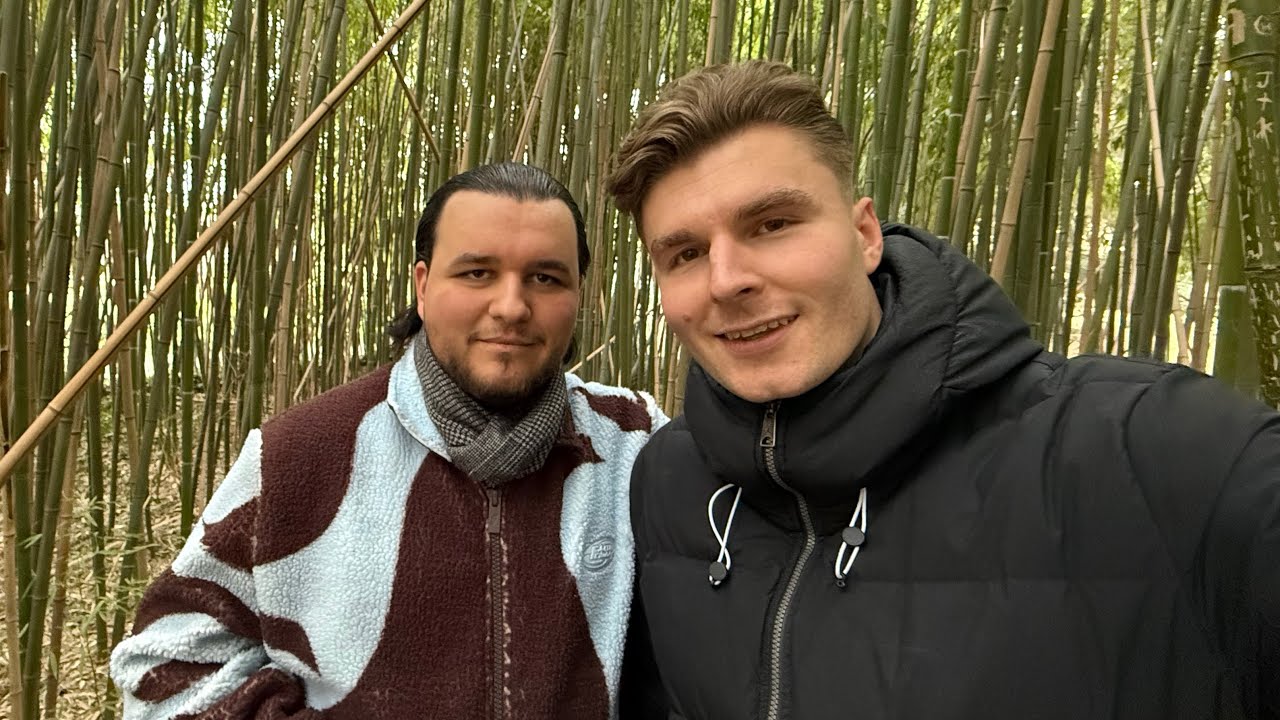 LEBEN AM ZENIT IN WIEN !