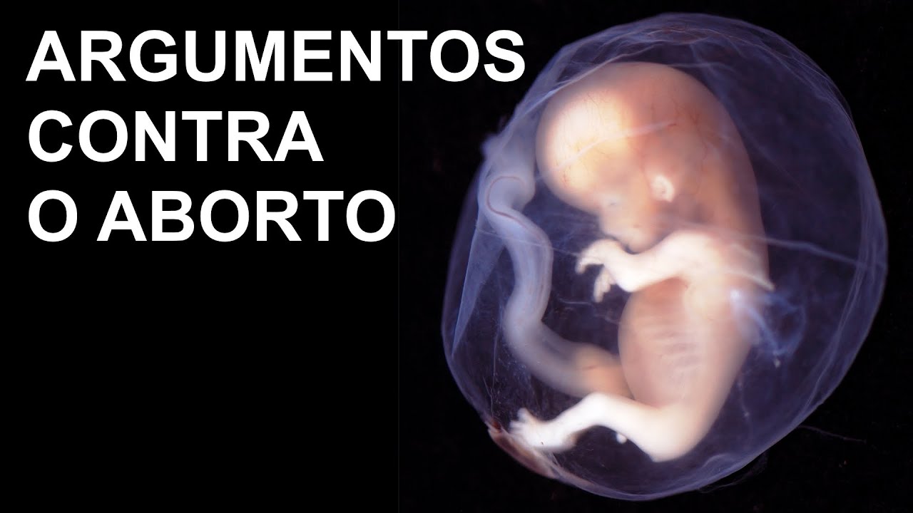 Argumentos contra o aborto - não ao aborto