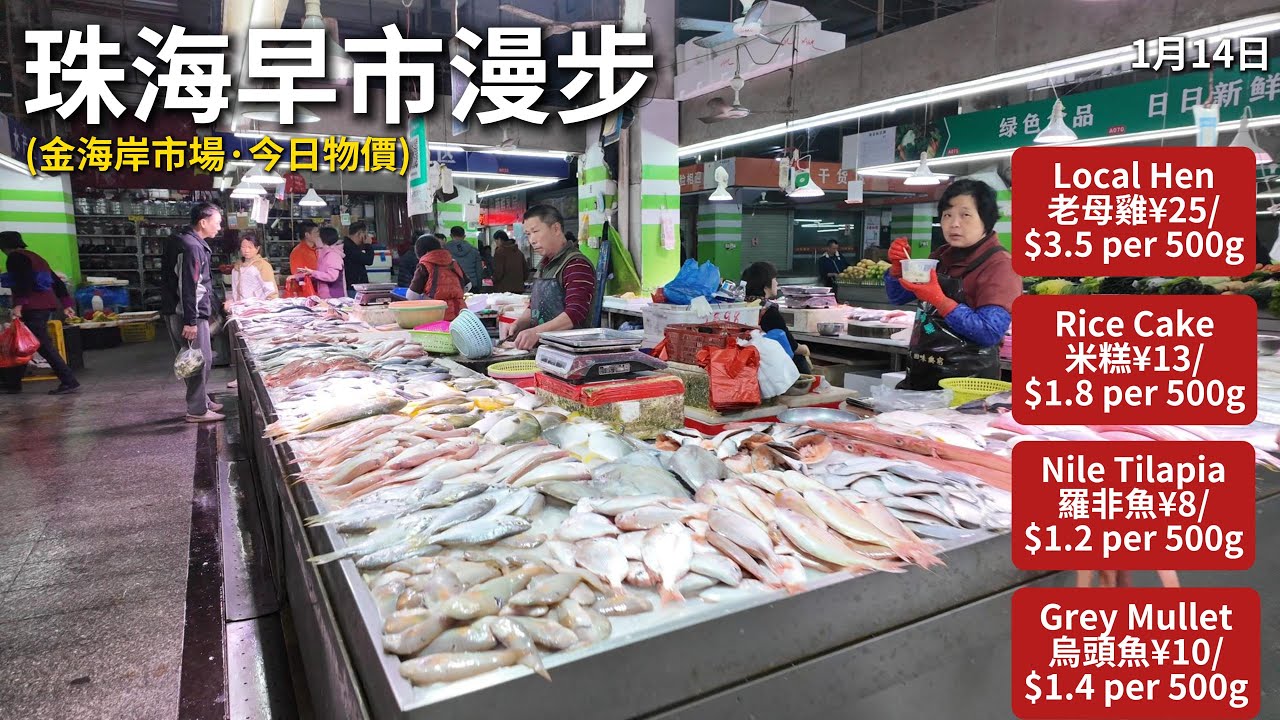中国珠海菜市場漫步|看看今天的菜價 老母雞¥25 米糕¥13 羅非魚¥8.5 烏頭魚¥10 市井煙火實拍|Zhuhai China Morning Market Walking Tour