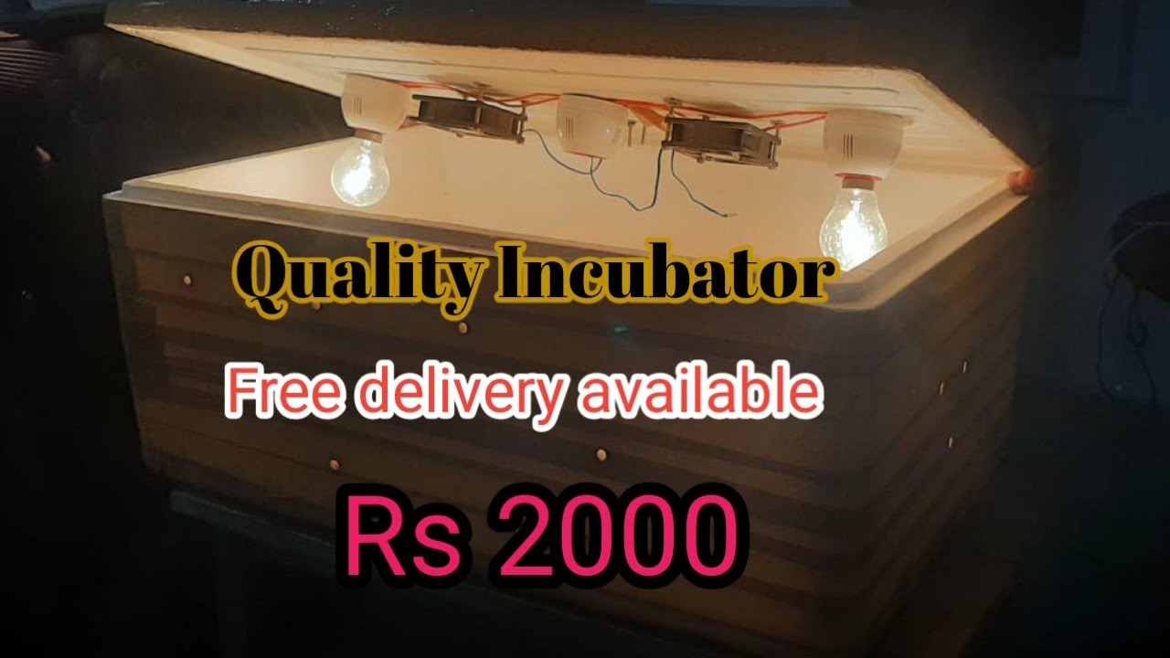 Incubator for sales/💯 Egg capacity/First quality/ Free delivery available/8489448093