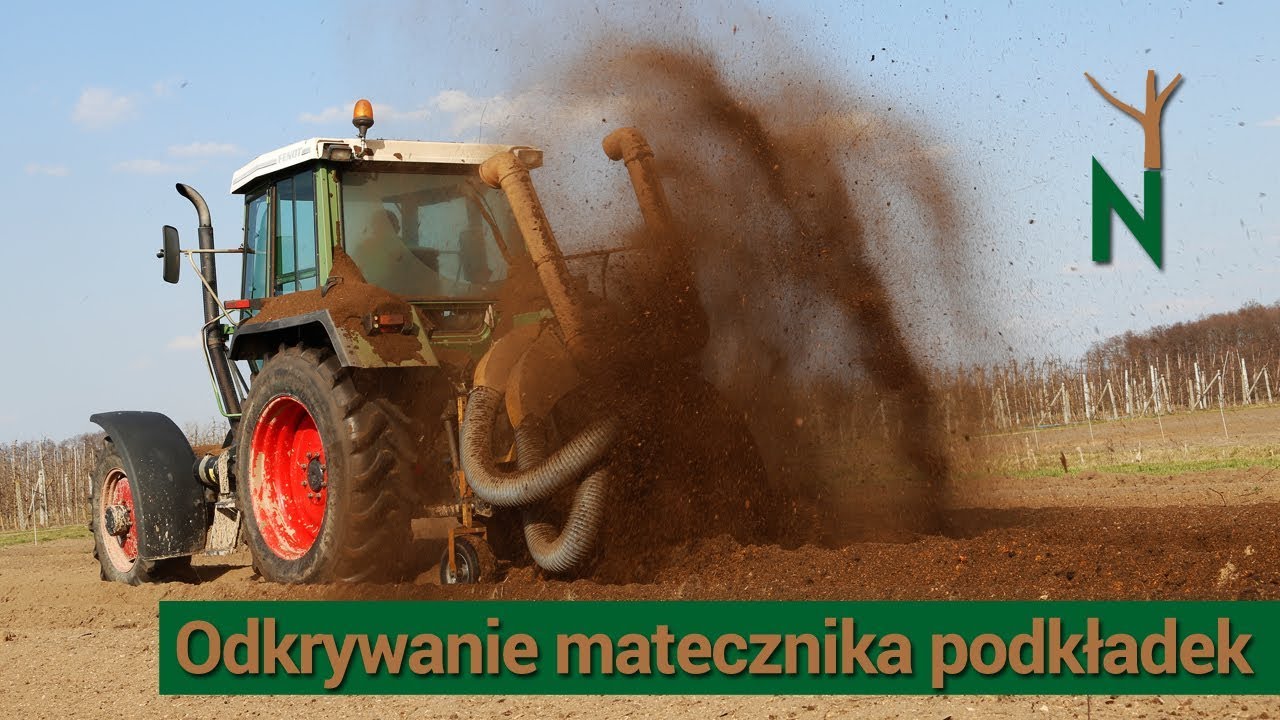Odkrywanie matecznika podkładek - Nowakowscy, Żdżary