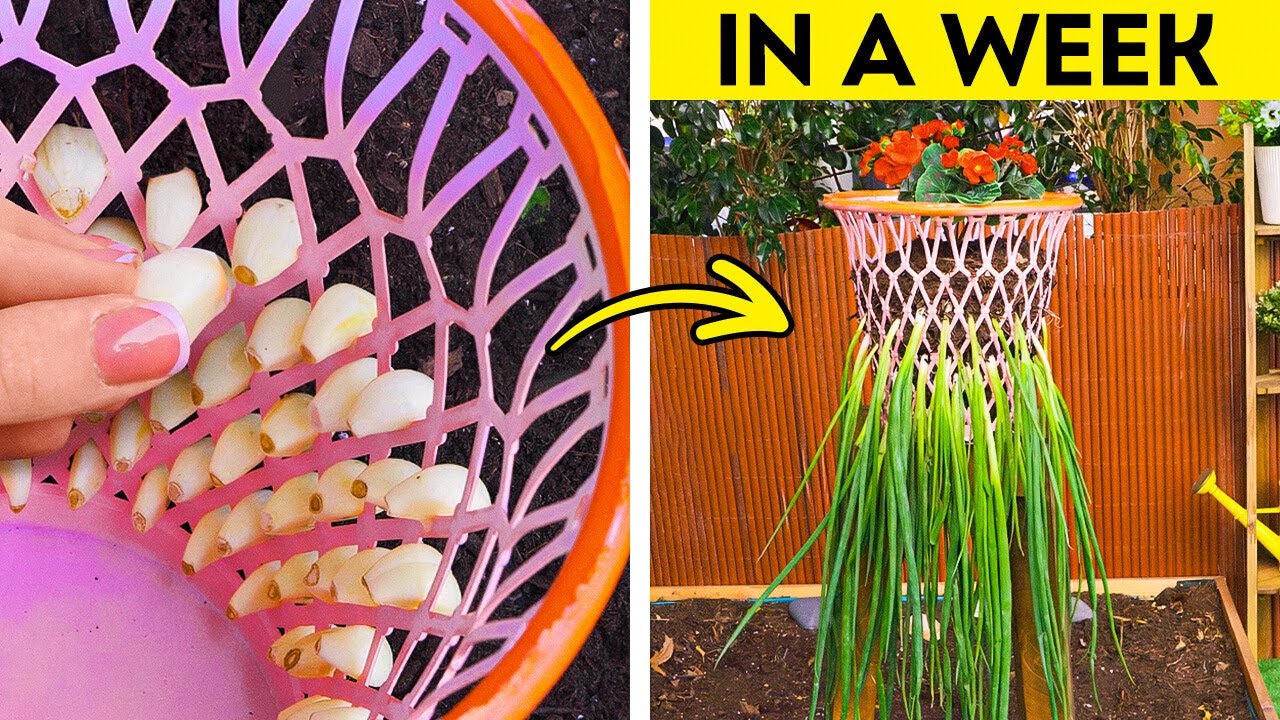 Gardening Hacks for Every Skill Level 👨‍🌾