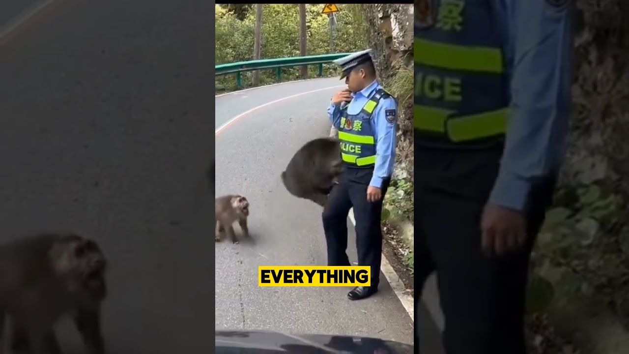The Monkey Trap