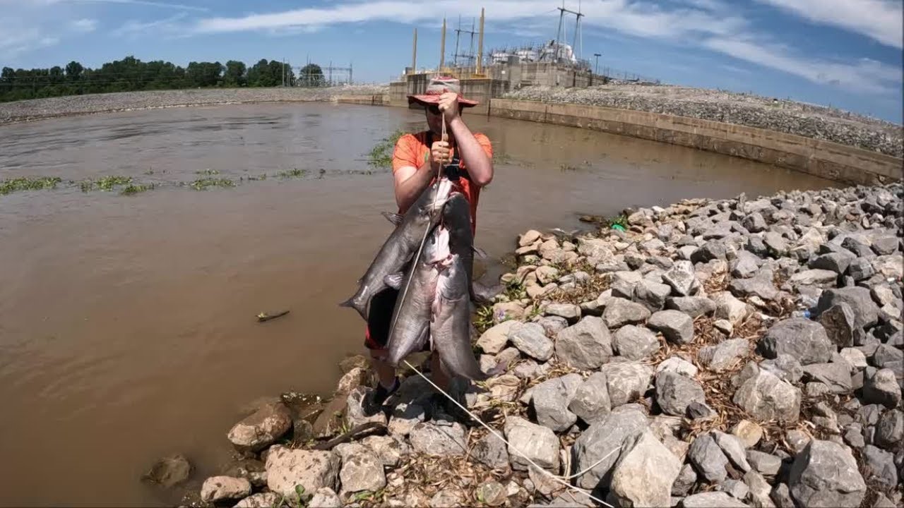 BANK CATFISHING AN ARKANSAS RIVER DAM! CATCHING BLUE CATFISH! #catfishing #bankfishing