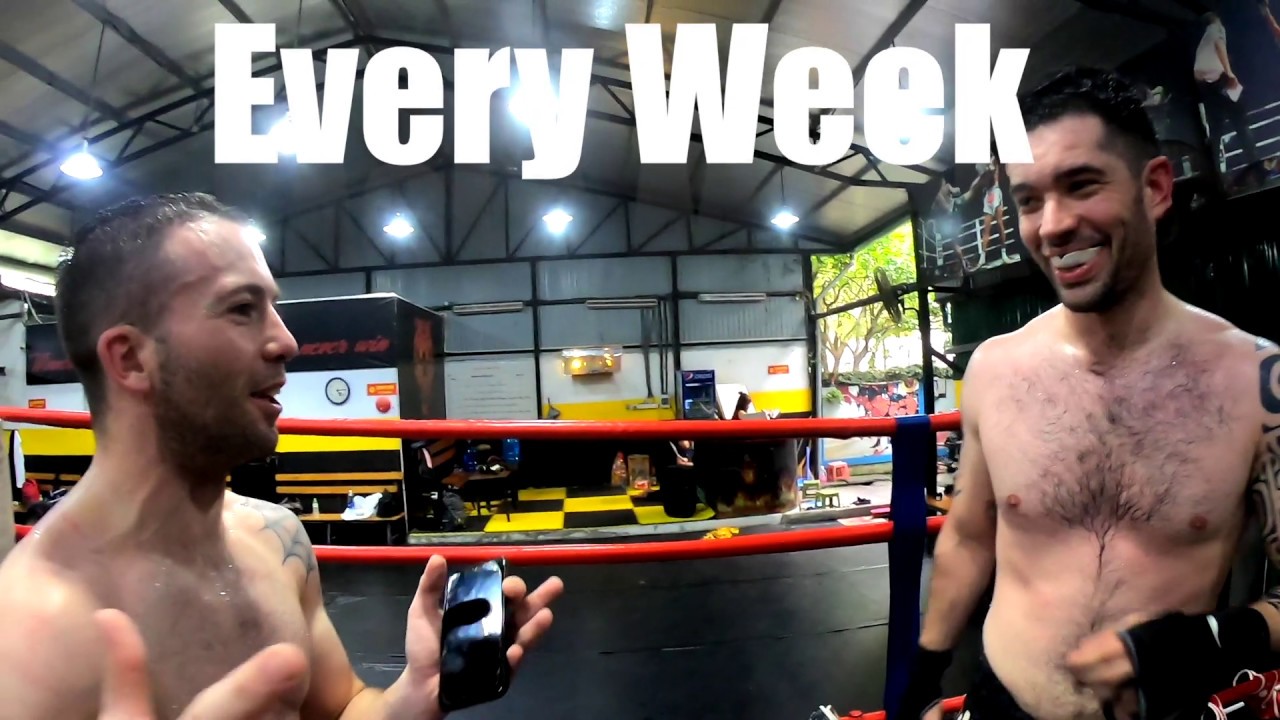 sparring tiger muay intro