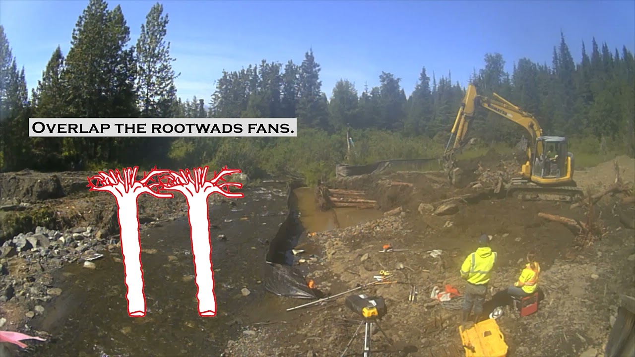 Fish Passage Construction Series - Rootwads