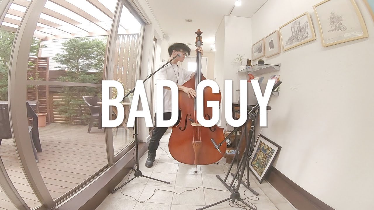 Billie Eilish - bad guy / Double-Bass Cover