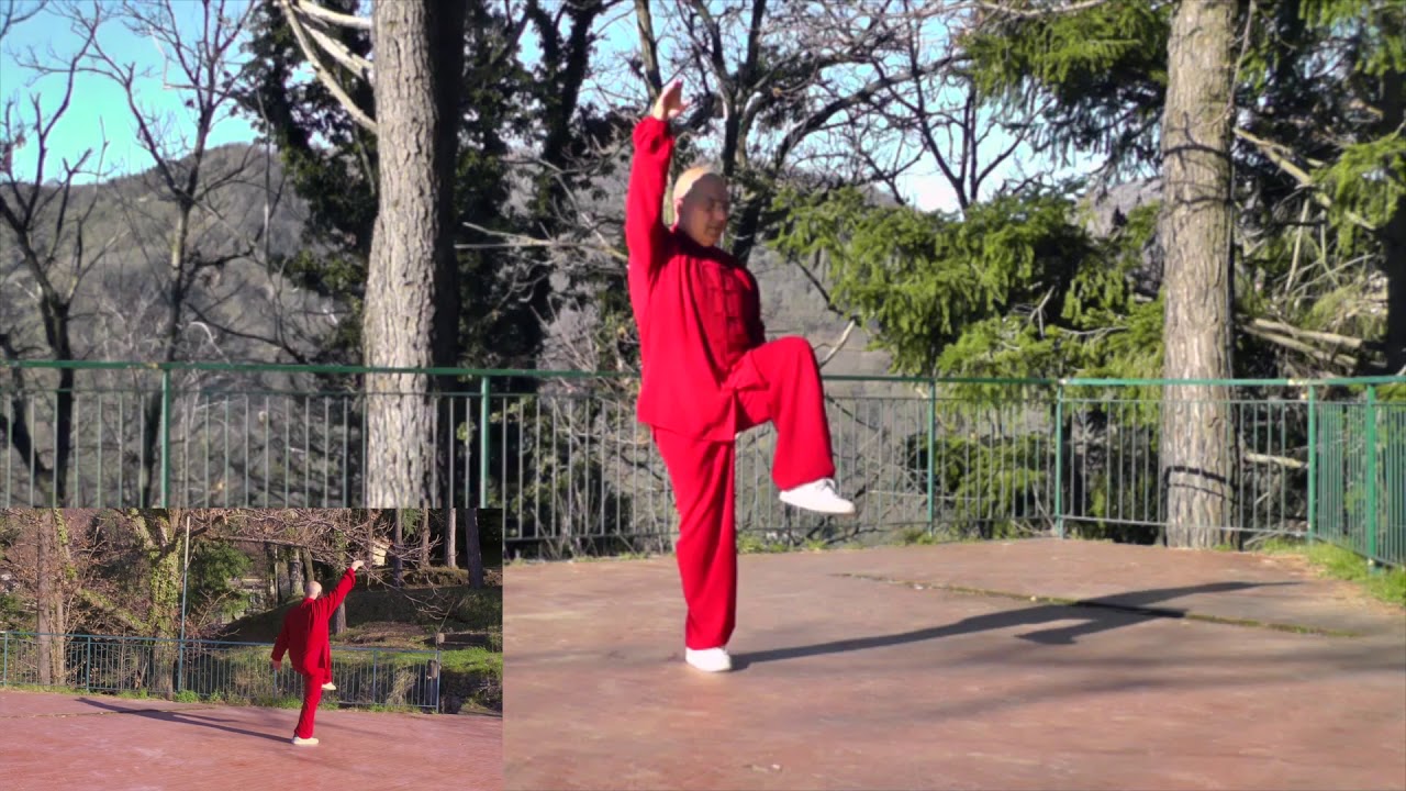 Yun Hua Taiji form YIJI