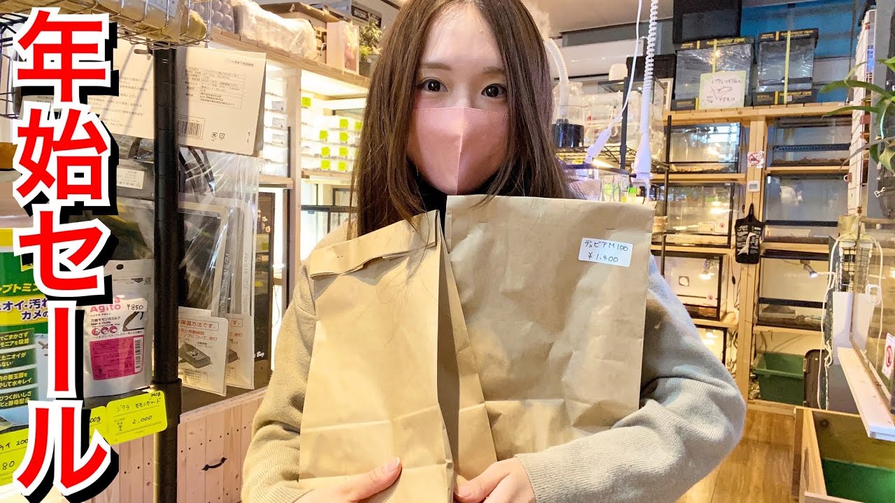 爬虫類ショップのお正月セールに朝イチで潜入したらすごすぎた…！！