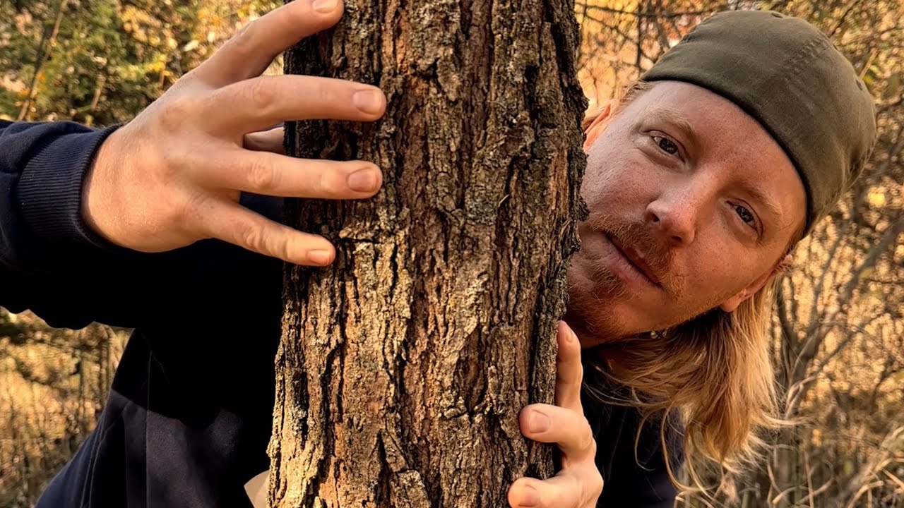 ASMR | Giving The Trees A Massage 🌳