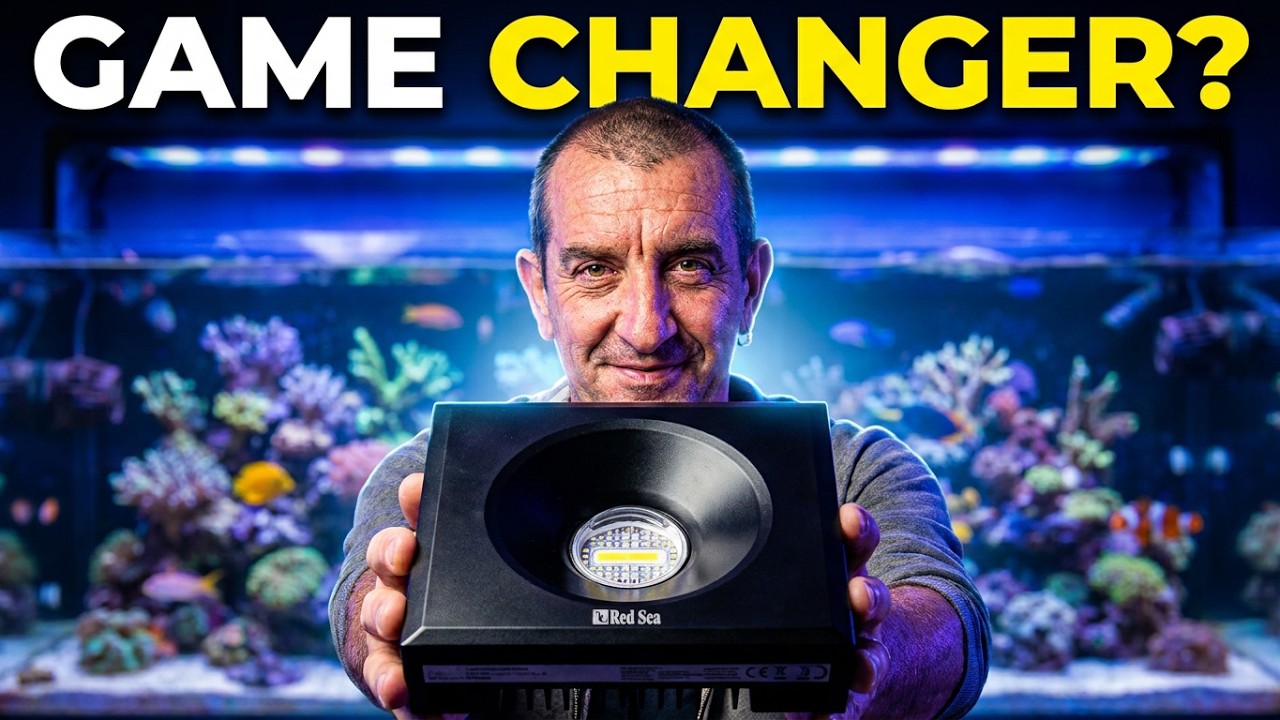 Déballage et configuration du reef beat de la nouvelle Red Sea Reefled 90