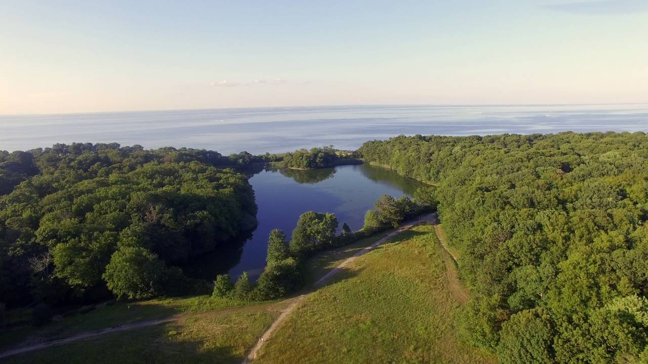 Caumsett park by drone
