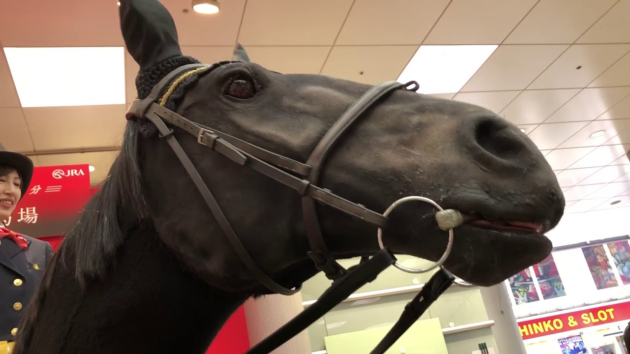 ROBOT HORSES KENTUCKY DERBY HITS JAPAN TOKYO STATION JERSEYMEETSJAPAN WEIRD