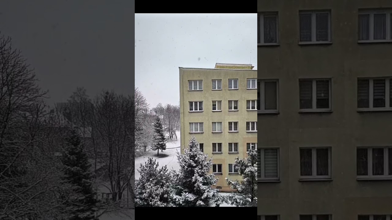 #ljubljana #wintervibes #snow #lifeisbutadream #whowillbemylifepartnerta 
