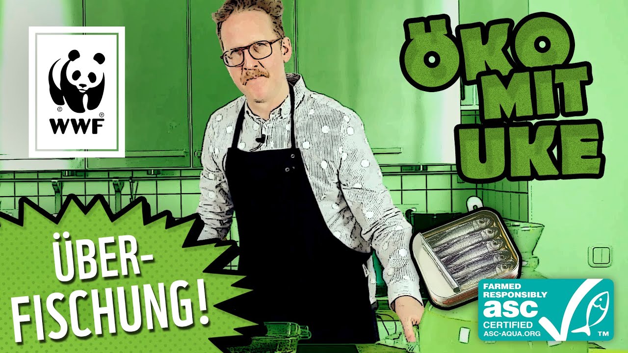 WWF Fischratgeber-App: nachhaltiger Fischfang statt Ausbeutung der Meere | WWF Deutschland