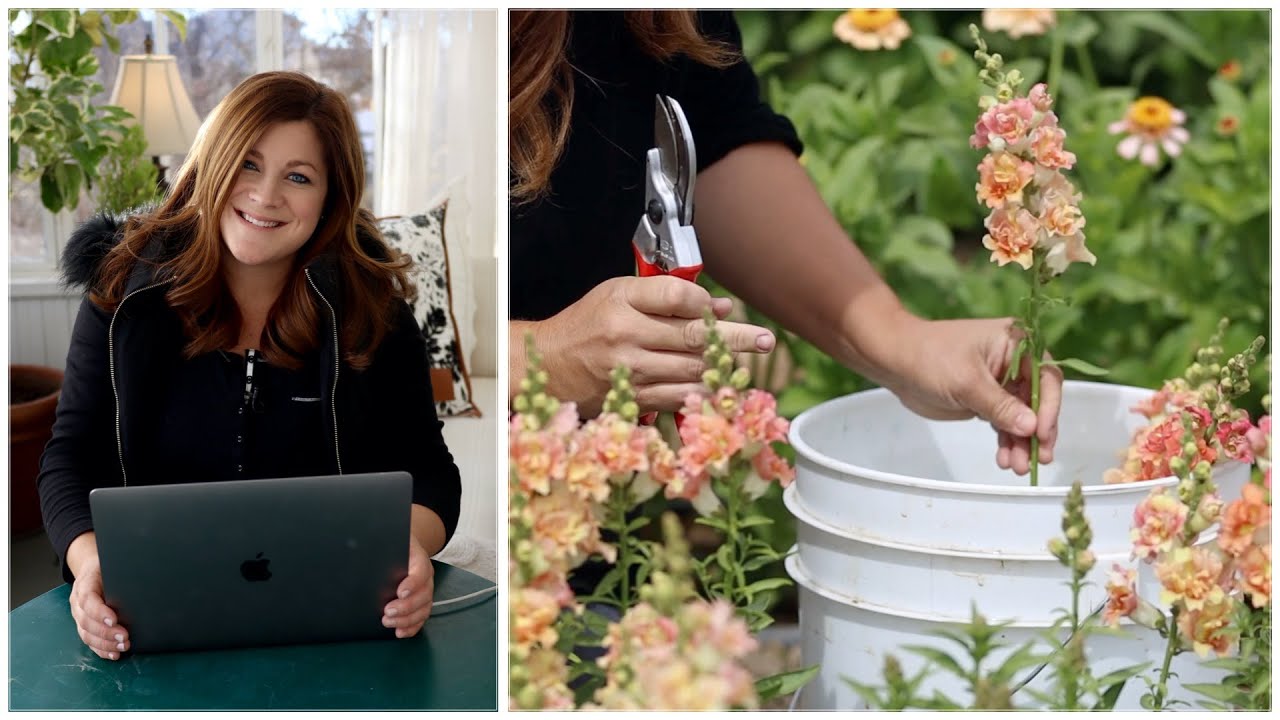 Cut Flower Garden Q&A! 🌸✂️👩&zwj;🌾 // Garden Answer