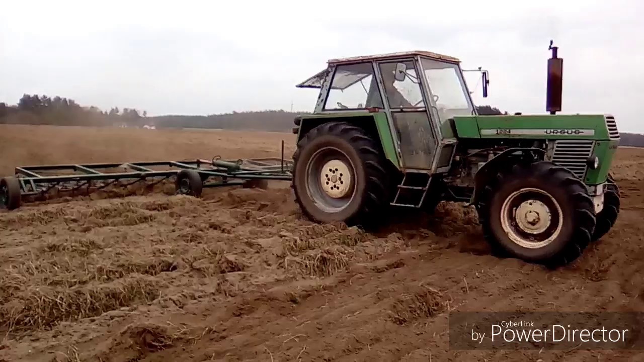 Wiosna 2017 w GR Jankowscy