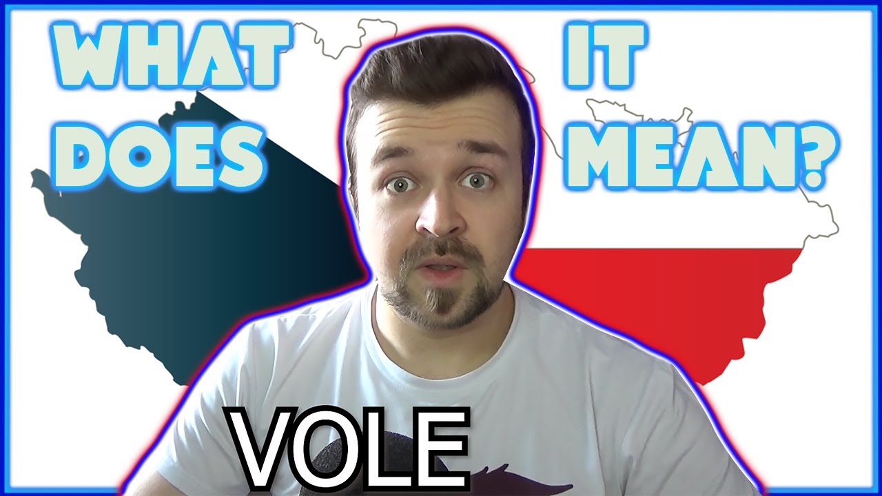 VOLE - What does it mean?