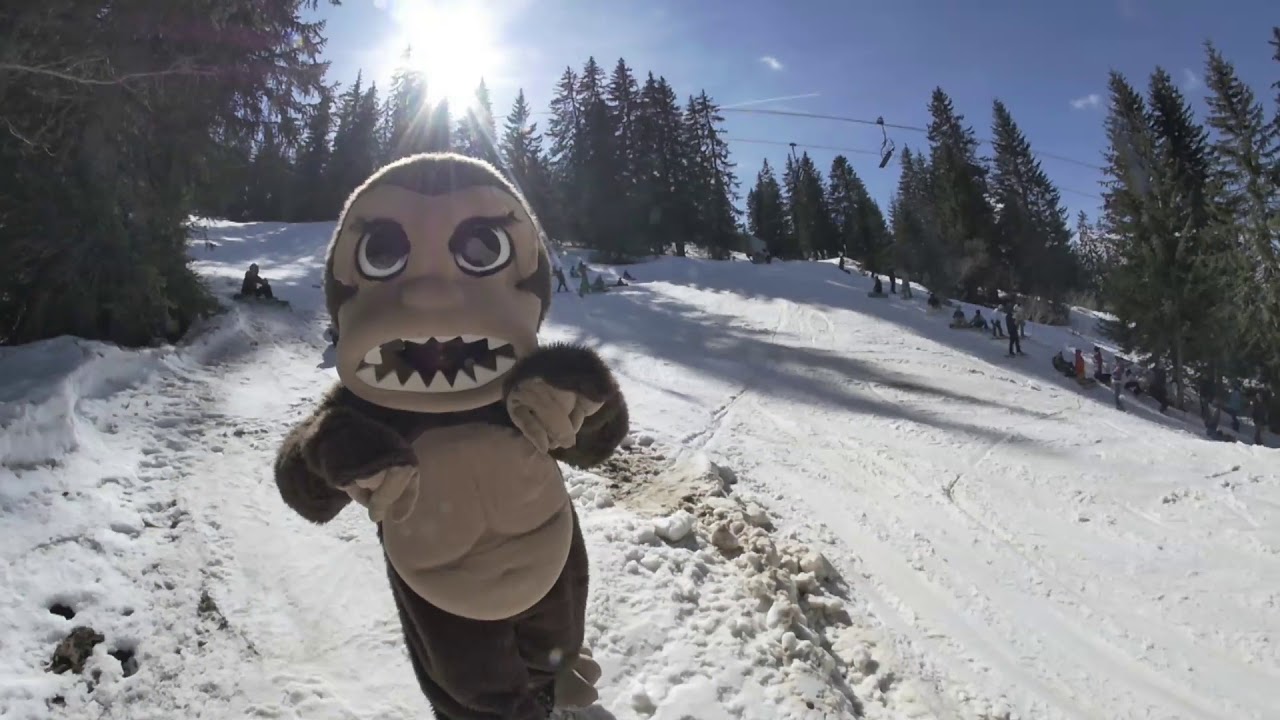 Stash Gathering 2017 Avoriaz