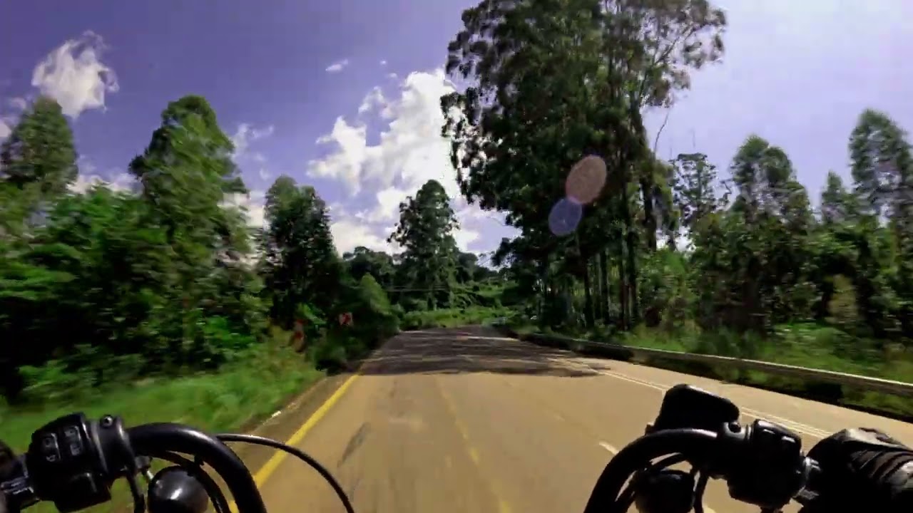 Mountain Majesty: Riding My Sportster Through Stunning Landscapes POV RAW Sound #motorcycle #bike