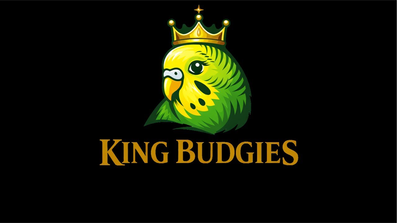 King_Budgies_Priya is live