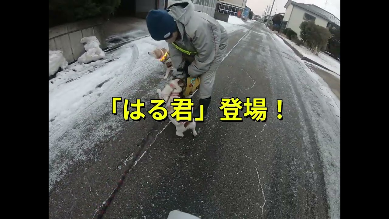 グンマにも衣装
