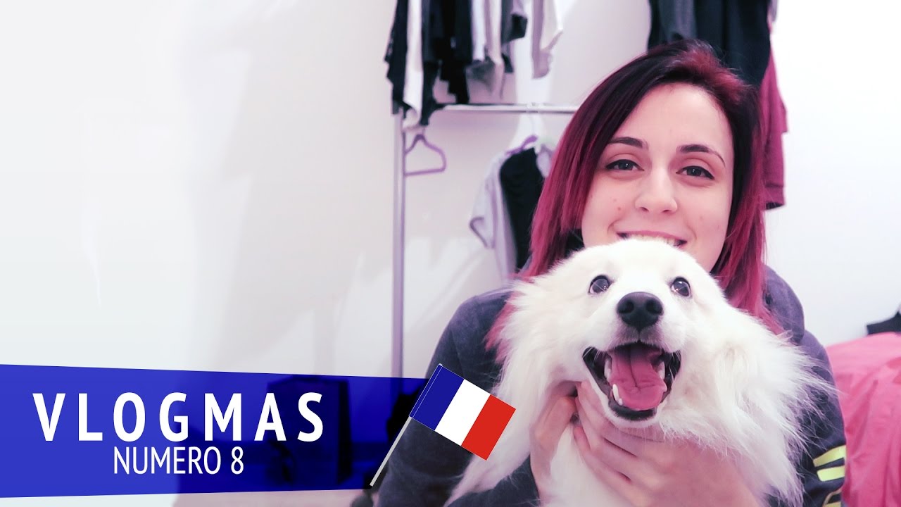 LE RETOUR DU FAUVE | Vlogmas 08