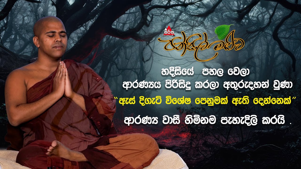 ජීවිත කාලය පුරාම එකම පාංශුකූල සිවුරු දරන පුන්‍යවන්ත භික්ෂුවකගේ ජීවිත අත්දැකීම් |  Pansil Maluwa |