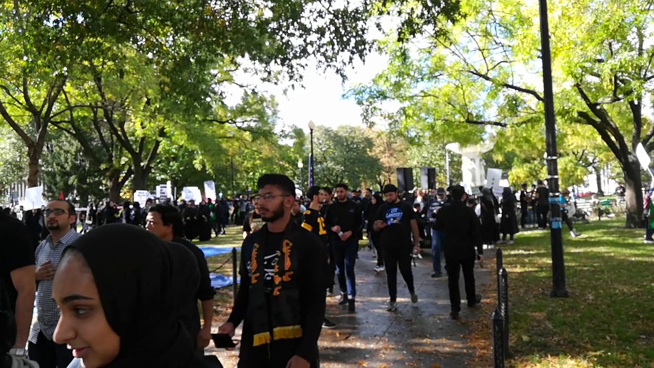 Taboote Hasan on American roads | Arbaeen in DC USA 2019 | America Azadari