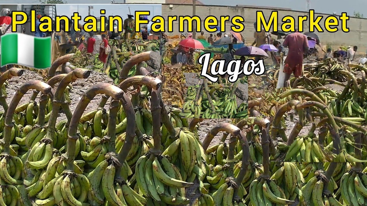 MARKET DAY IN FARMERS PLANTAIN MARKET IN LAGOS NIGERIA | PLANTAIN DEPOT IN WEST AFRICA / VLOGMAS #2