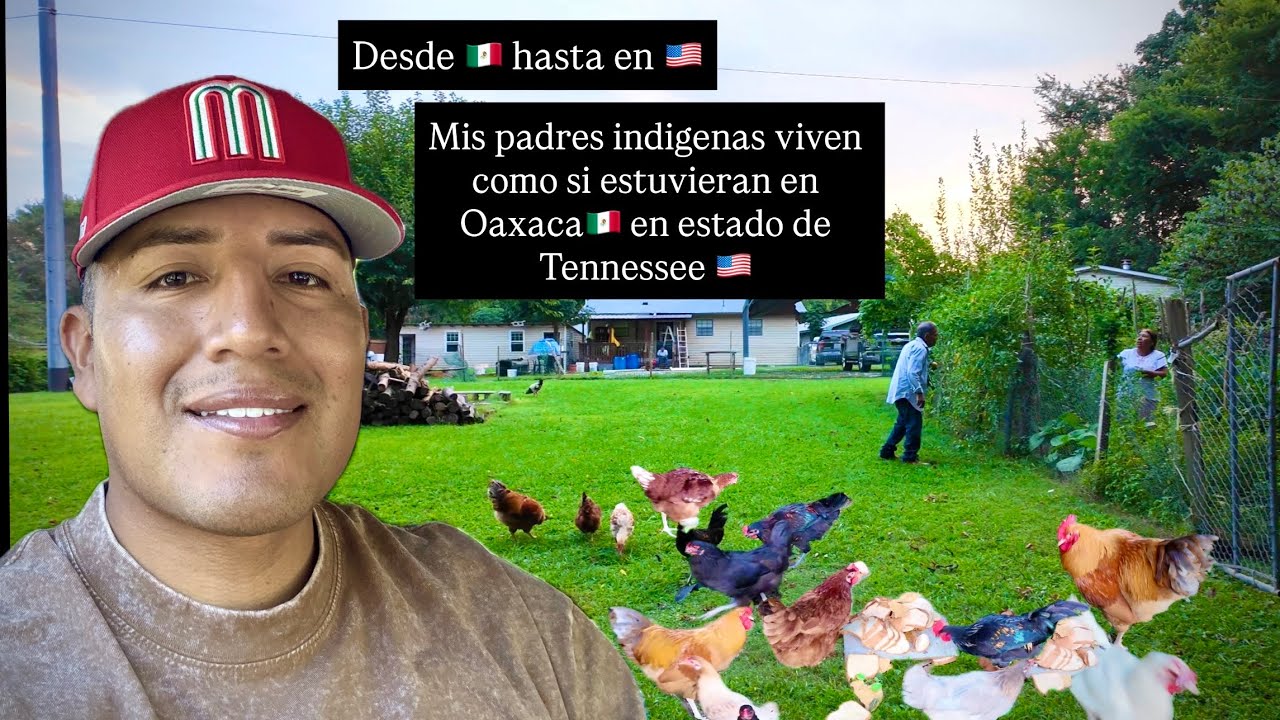 Mis padres indigenas de Oaxaca en su ranchito en USA🇺🇸 viven como si estuvieran en su rancho en TN🇺🇸