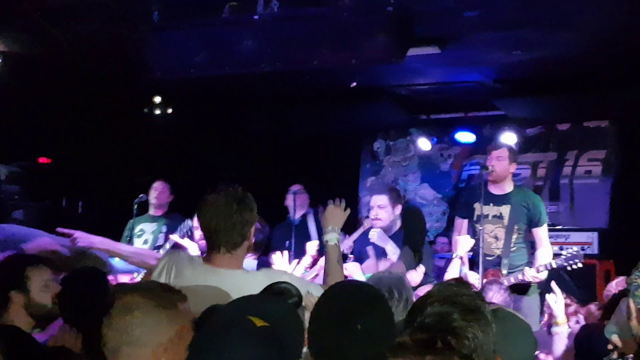 The Dopamines - Cincinnati Harmony ( Live @ High Dive, Gainesville)
