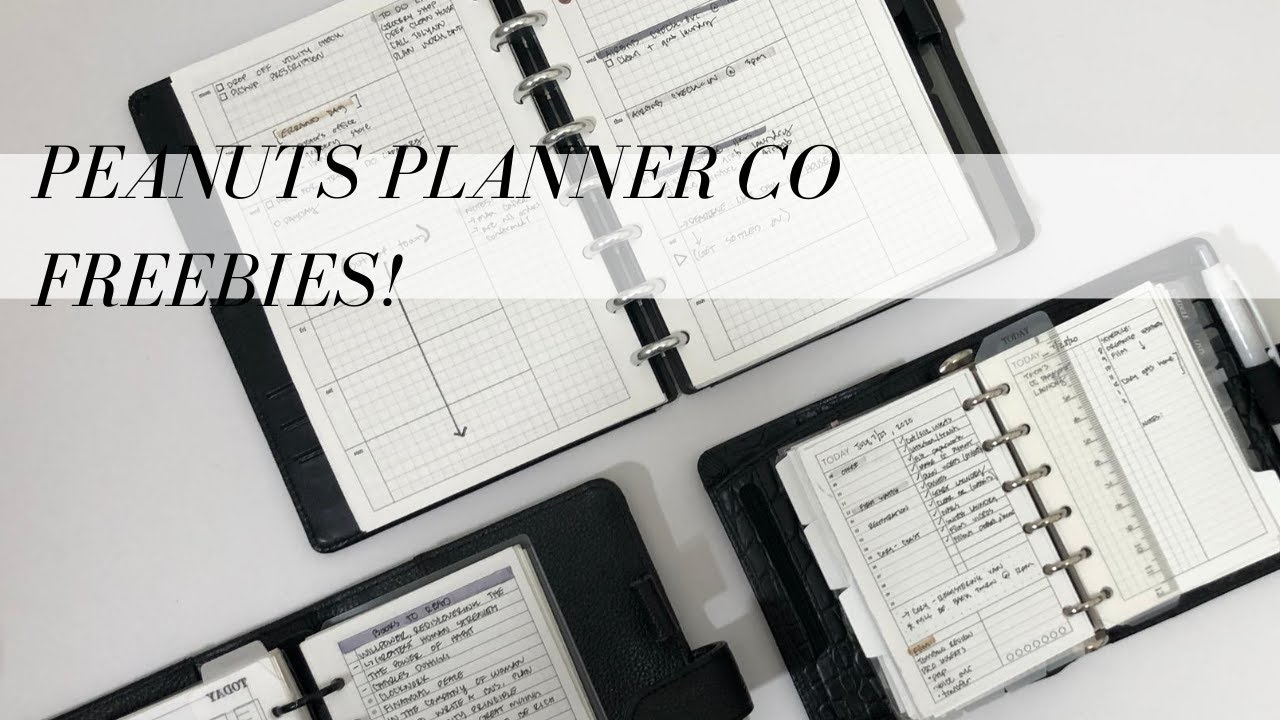 PEANUTS PLANNER CO FREEBIES AND HOW TO USE THEM | SYSTEMATIC MADDIE