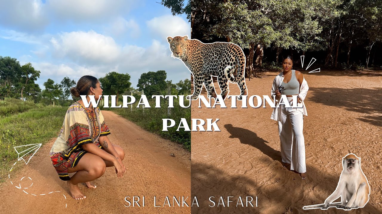 SAFARI WITH ME IN SRI LANKA | Wilpattu National Park