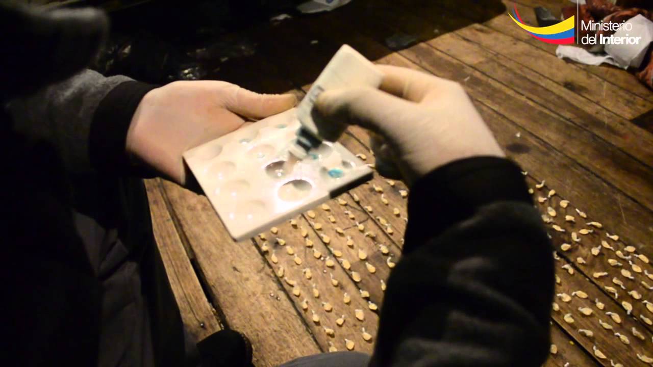 Operativo San Roque sacó de circulación 3.400 dosis de droga de las calles de Quito