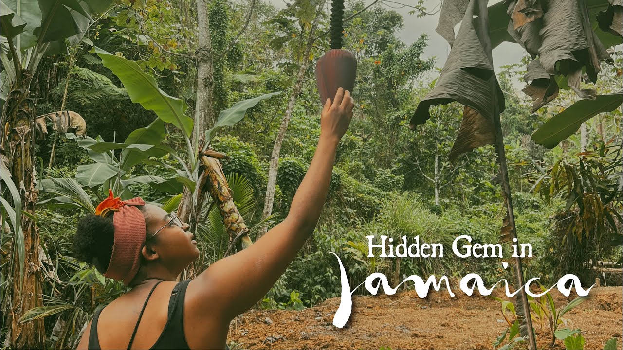 JAMAICA HIDDEN GEM NEAR MONTEGO BAY | Hiking on a Pineapple Farm