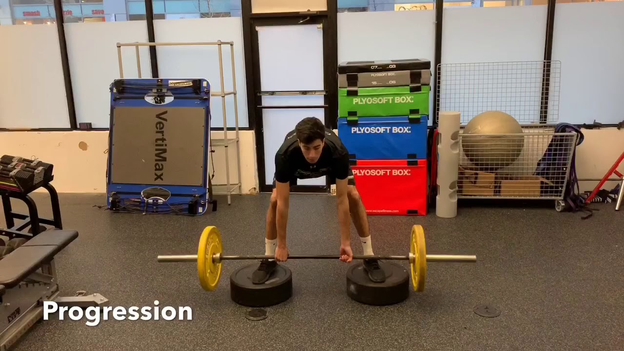 Nicky Desalvo sps 21