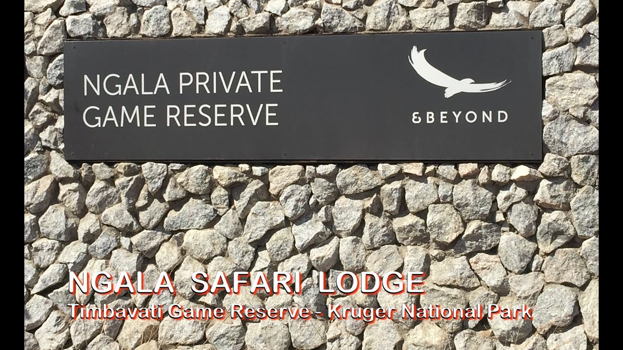 NGALA SAFARI  LODGE  | Impressions WILDLIFE & LODGE | Timbavati Reserve | Kruger National Park