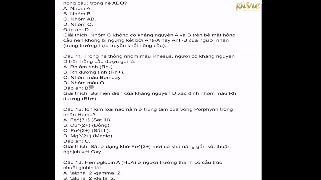 Học thử: Luyện thi THS/CKI 2026 - Sinh lý - ĐH Y MIỀN NAM KV01: Buổi 1: Chương Máu